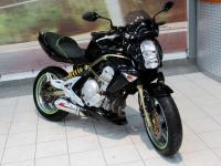Kawasaki ER6n 650