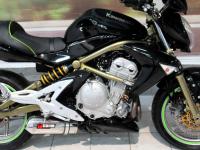 Kawasaki ER6n 650